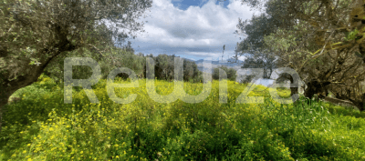 Photo 1,Εξωτερική,ΕΝΟΙΚΊΑΣΗ,Γη,Αγροτεμάχιο,3632τ.μ,€84,000,Ληξούρι