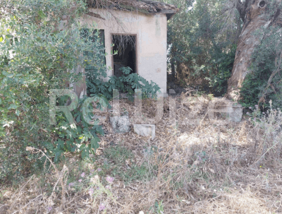 Photo 2,Κήπος,ΕΝΟΙΚΊΑΣΗ,Γη,Οικόπεδο,396τ.μ,€36,000,Ζάκυνθος