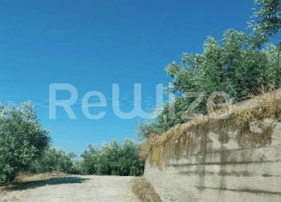 Photo 3,Εξωτερική,ΕΝΟΙΚΊΑΣΗ,Γη,Αγροτεμάχιο,1405τ.μ,€8,000,Βόρεια Κυνουρία